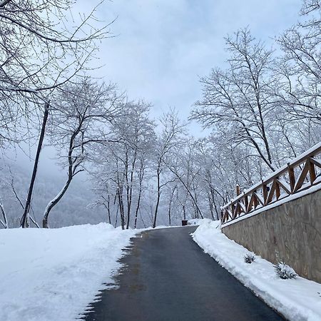 Kuca za odmor ,,Balkan” Crni Vrh Bagian luar foto