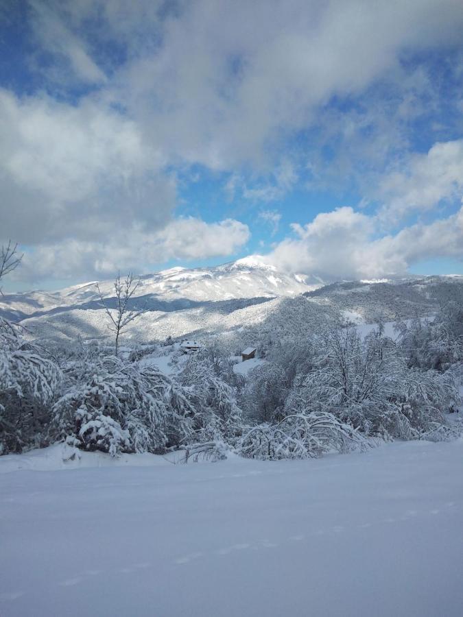 Kuca za odmor ,,Balkan” Crni Vrh Bagian luar foto