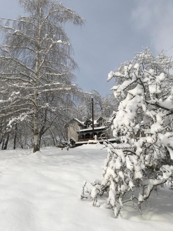 Kuca za odmor ,,Balkan” Crni Vrh Bagian luar foto
