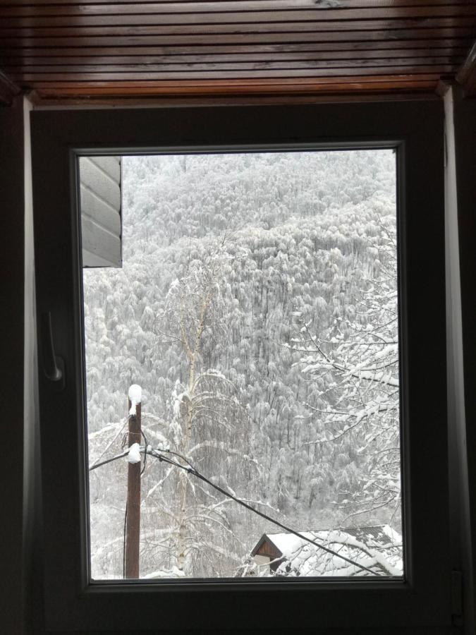Kuca za odmor ,,Balkan” Crni Vrh Bagian luar foto