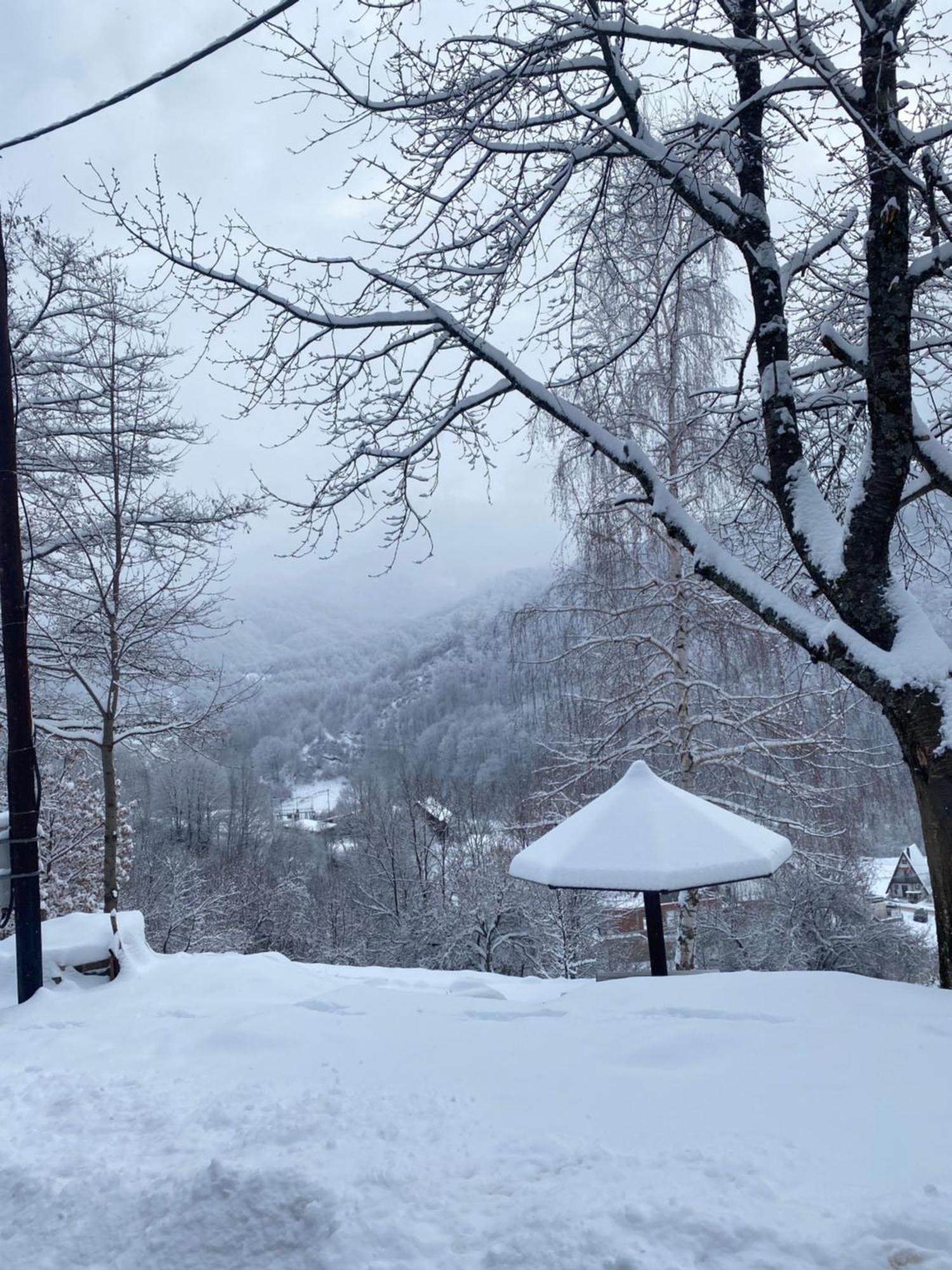 Kuca za odmor ,,Balkan” Crni Vrh Bagian luar foto
